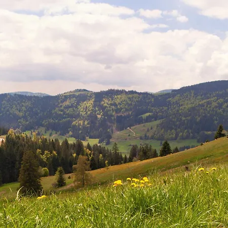 Relaxapartments Black Forest Moments - Maisonette-Wohnung Mit Sonnenbalkon, Schnelles Internet, Naehe Triberger Wasserfaelle, Fuer Bis Zu 4 Personen Schönwalde Buitenkant foto
