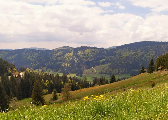 Relaxapartments Black Forest Moments - Maisonette-Wohnung Mit Sonnenbalkon, Schnelles Internet, Naehe Triberger Wasserfaelle, Fuer Bis Zu 4 Personen