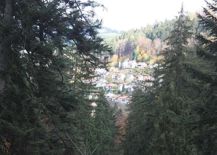 Relaxapartments Black Forest Moments - Maisonette-Wohnung Mit Sonnenbalkon, Schnelles Internet, Naehe Triberger Wasserfaelle, Fuer Bis Zu 4 Personen