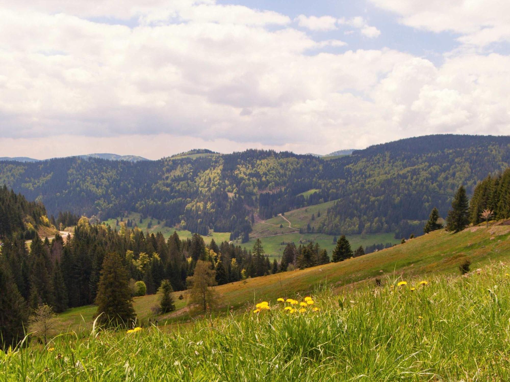 Appartement Relaxapartments Black Forest Moments - Maisonette-wohnung Mit Sonnenbalkon, Schnelles Internet, Naehe Triberger Wasserfaelle, Fuer Bis Zu 4 Personen Schönwalde