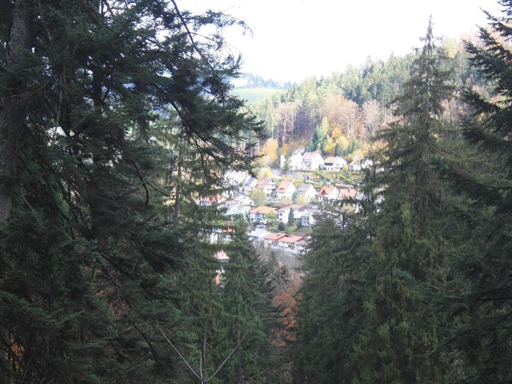Auszeit Apartment: Black Forest Retreat With Balcony Views *